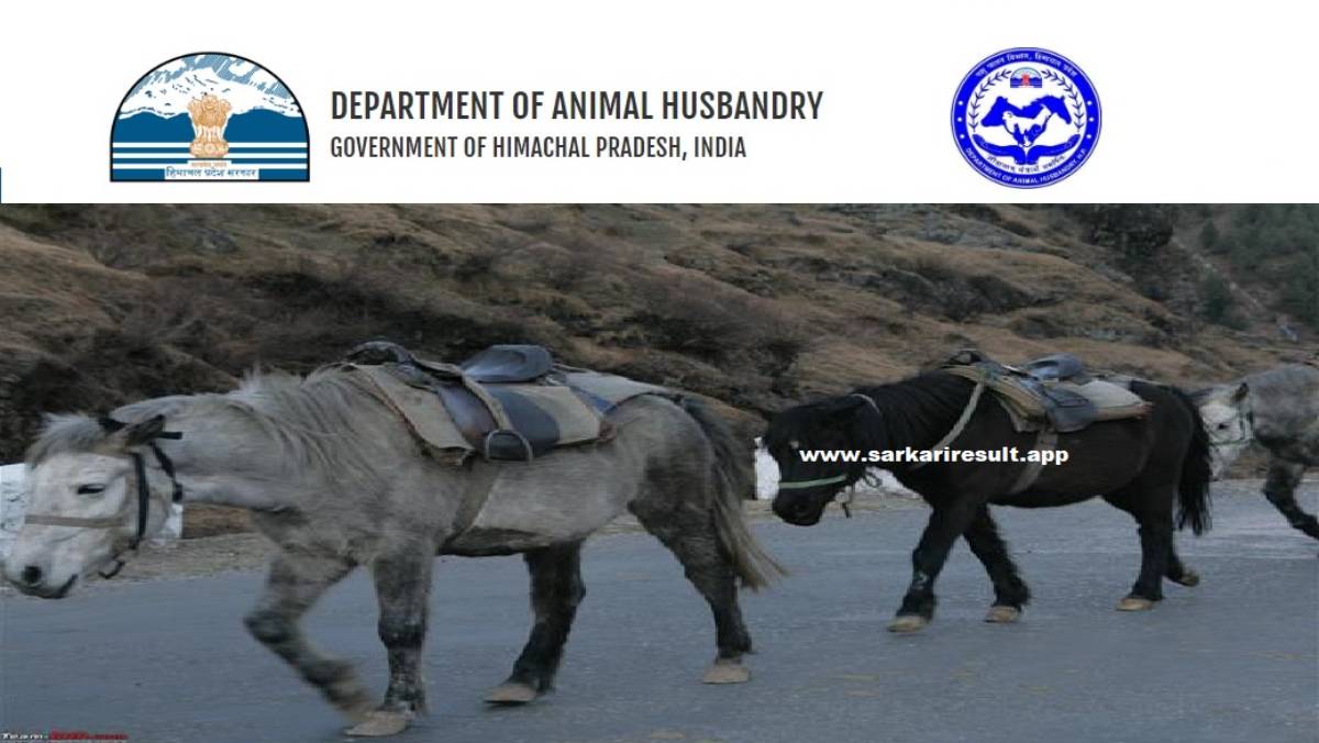HP Animal Husbandry Dept