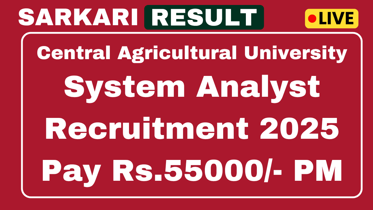 CAU System Analyst Recruitment 2025