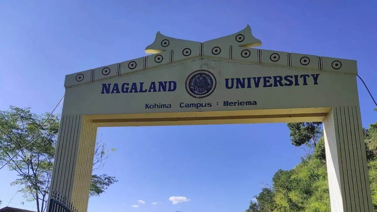 Nagaland University