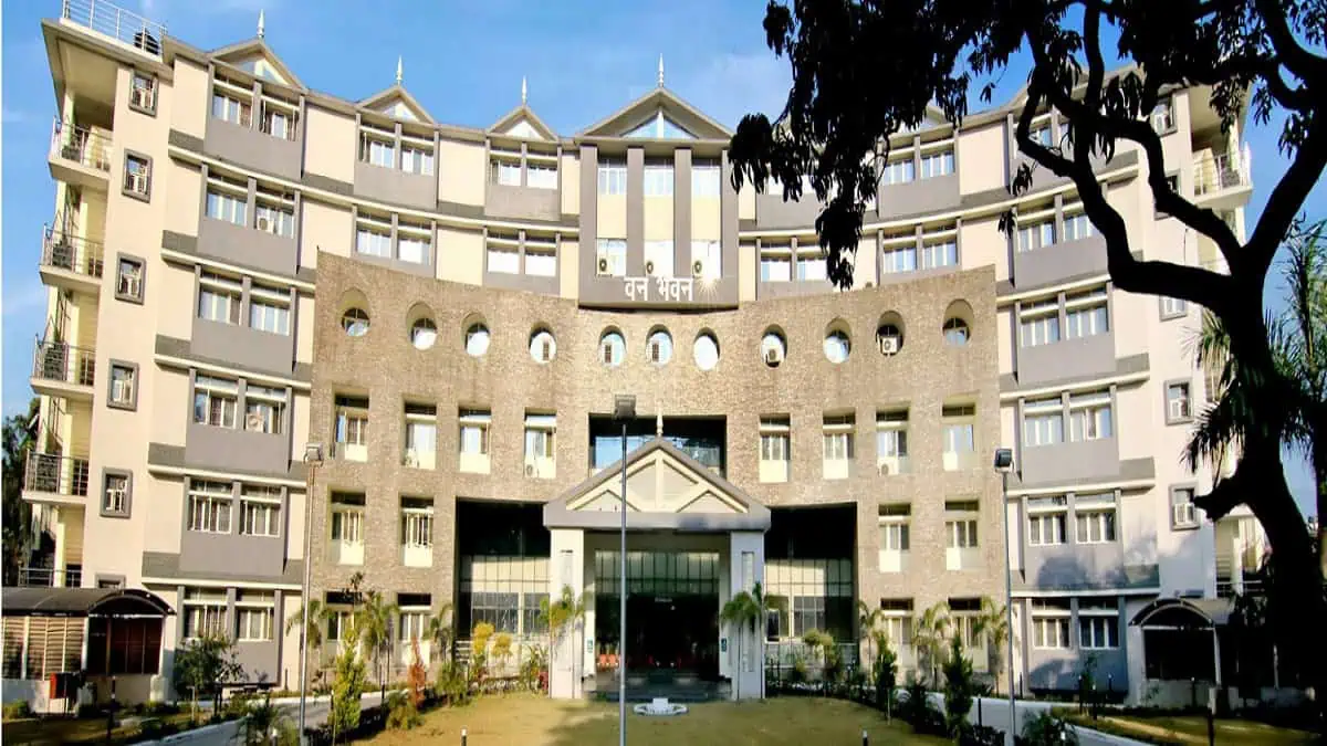 UK Forest Department