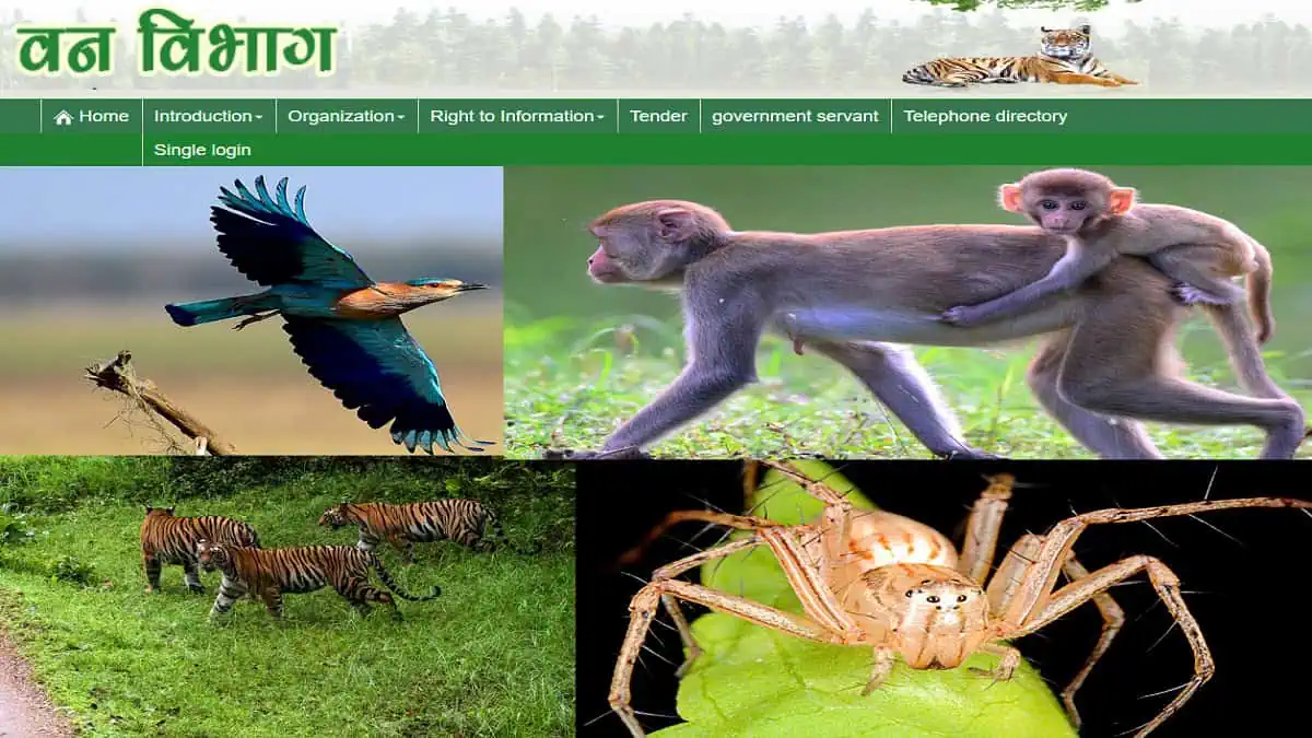 Forest Department