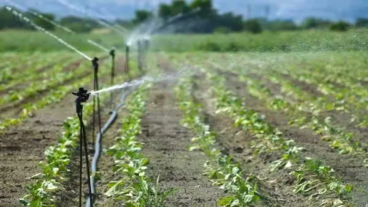 Irrigation