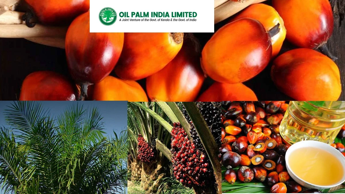 Oil Palm India Limited - OPIL